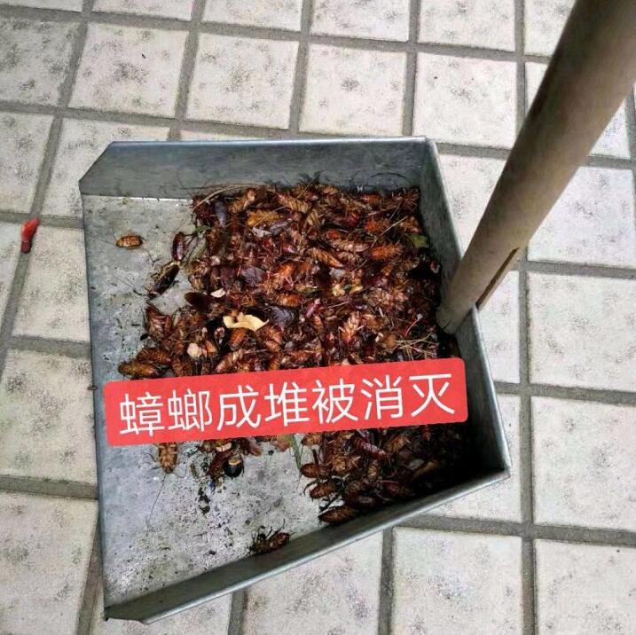 1-21103014423c59.jpg