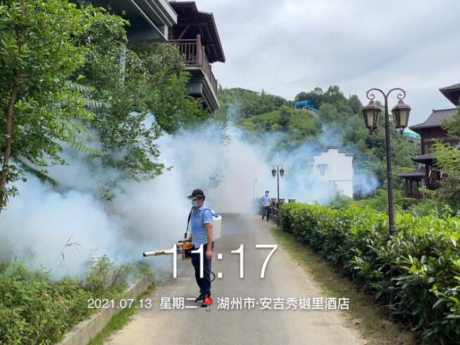 杀虫公司教你如何去除多肉植物上的虫害(图1)